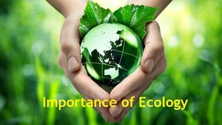 importance-of-ecology.jpg